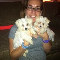 Stacy Lyons (@stacylyons14) 's Twitter Profile