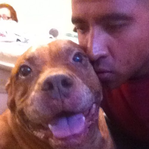 BuddahDominguez's profile picture. grafflove , benching vulture