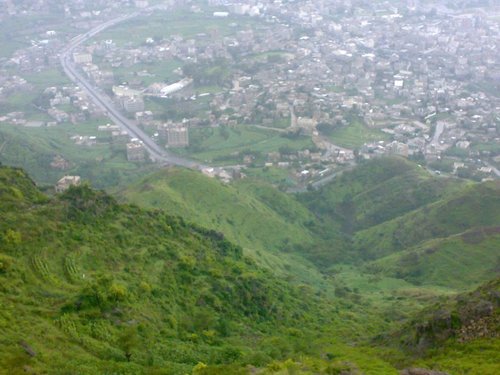 التكنولوجيا