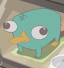 TostaPayne1D_'s profile picture. Guardate il mio video in molti! NO insulti,è solo la mia opinione! http://t.co/MkupdOuKsa