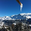 Daniel Widmer - @WidmerDaniel - Twitter