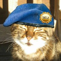 Fergus (@venerablecat) 's Twitter Profile