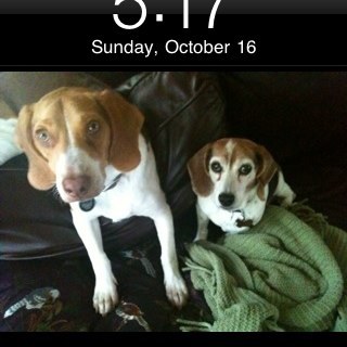 rollins_j's profile picture. Healthcare enthusiast, beagle mom, world traveler.  Would love to win the lottery!!!