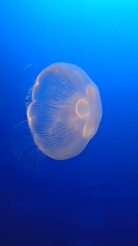 downer__'s profile picture. 会社員｜フルタイム勤務｜子育て中｜