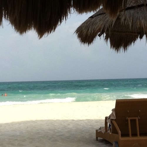 kcollins67's profile picture. 