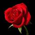 Hassocks & Hurstpierpoint Labour (@labourhassocks) Twitter profile photo Hassocks & Hurstpierpoint Labour (@labourhassocks) Twitter profile photo