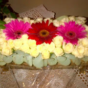 erickavg000's profile picture. 