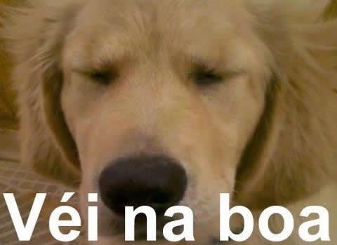 CHAMA A MAE QUE O PAI TA LOCO