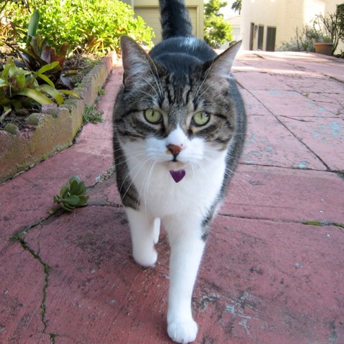 BeauneRoe's profile picture. 