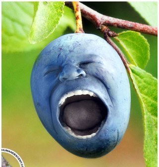 auldie10's profile picture. 