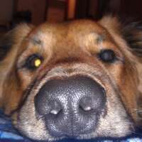 jlsuntheimer's profile picture. 