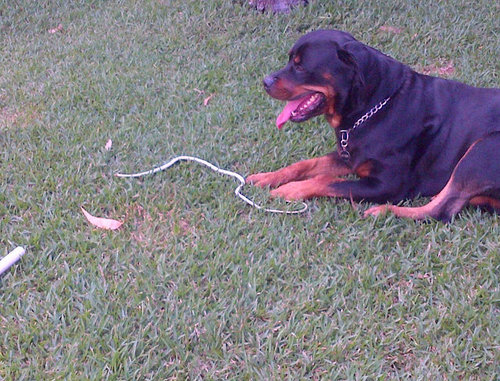 miacost's profile picture. 