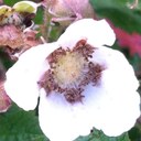 terri wagoner - @magick288 - Twitter