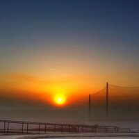 Trysting Tree (@trystingtree) 's Twitter Profile