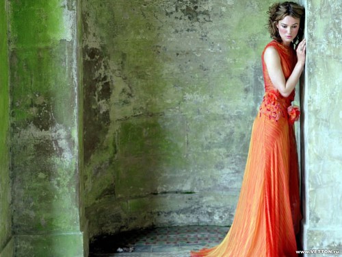 davidstewart4's profile picture. 