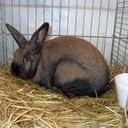 Jan Buss - @Jan_Buss - Twitter