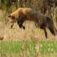 Swamp Fox Green (@swampfoxgreen) 's Twitter Profile