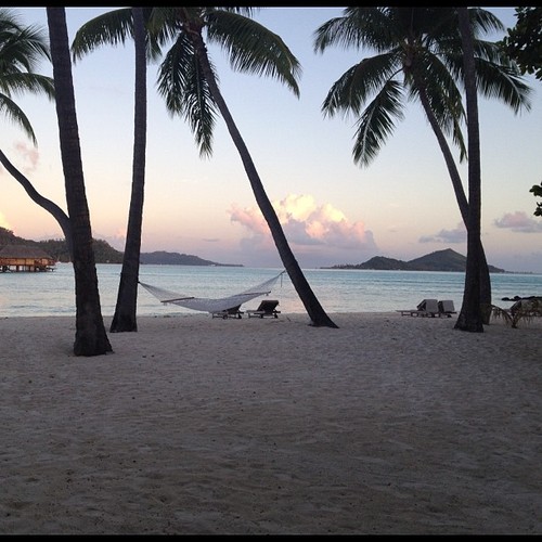 gutter67's profile picture. 