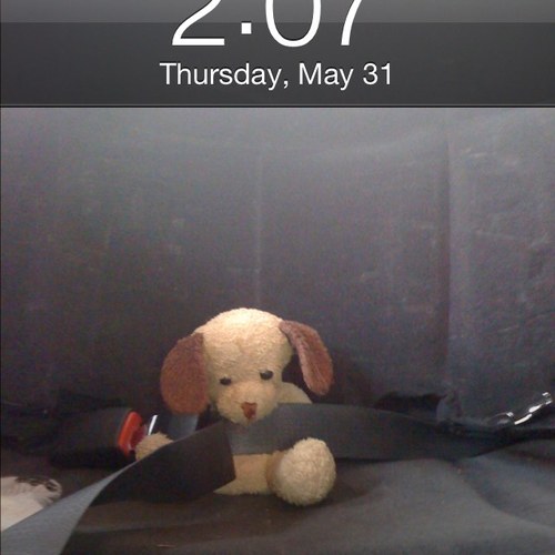 mcmoses0's profile picture. 