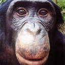 Bruce Morley-Newman - @BruceMN - Twitter