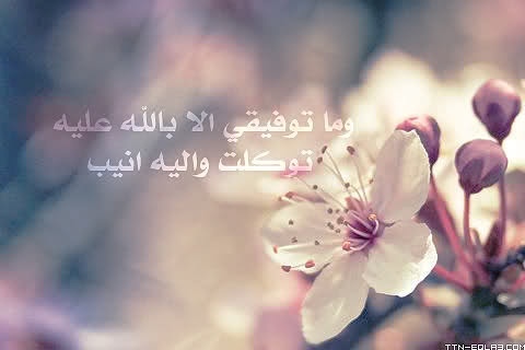 معلمة رياضيات ✨كل إناء يضيق بما جعل فيه إلا وعاء العلم فإنه يتسع. عضو في مجموعة رفعة الرياضيات ،،وما توفيقي إلا بالله https://t.co/QUmlnOFr8y