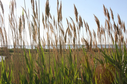 Traveling the Delmarva Coast with Camera in Hand, Video on shoulder, Spirit of Adventure in Full Gear!