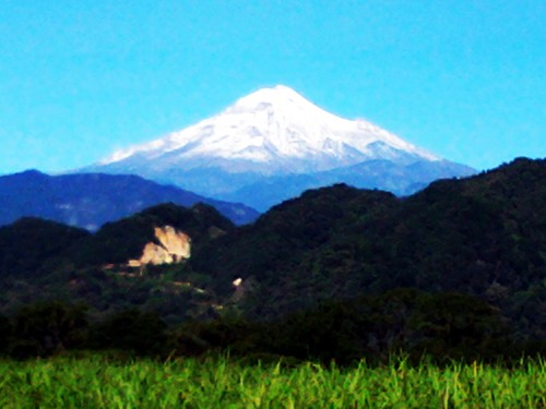 isc_carguel's profile picture. 