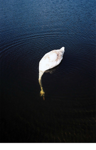 sourcebook_rmpm's profile picture. 