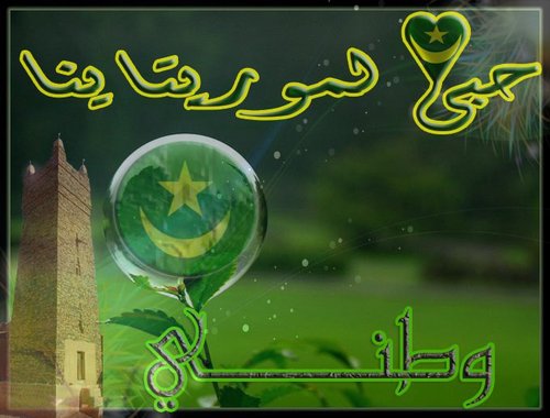 sidimoukhtar's profile picture. 