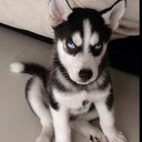 dennis lord - @lordofgame11 - Twitter