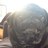 Pono610's profile image