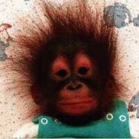 josh wurz (@joshwurz) 's Twitter Profile Photo