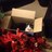 dovecotekerry's profile image