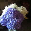 cathy metz - @cjmetz48 - Twitter