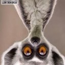 Eri Montaño - @MiOtra_cuenta - Twitter