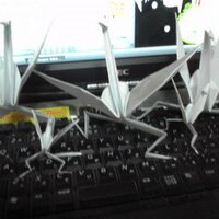 PEASE (@pease97) 's Twitter Profile