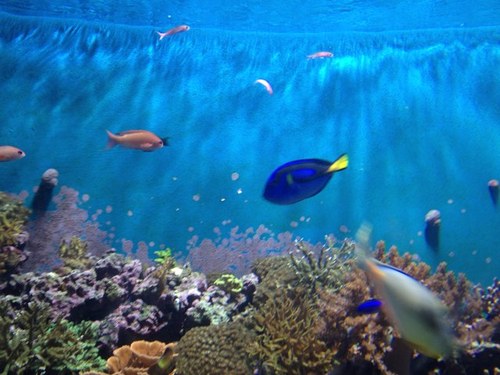 11398b1's profile picture. 