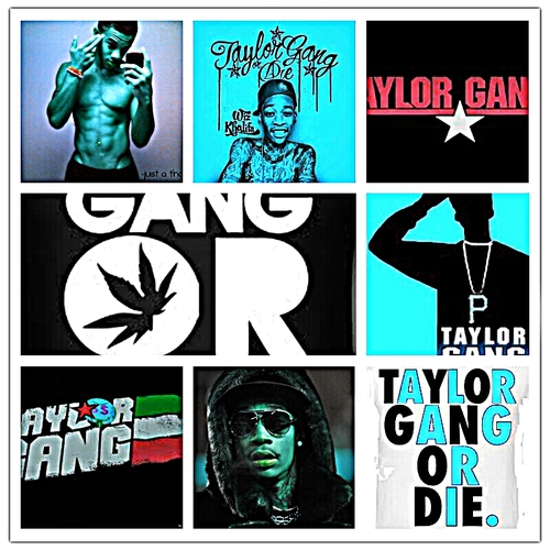 Taylorgang_swag's profile picture. taylor gang over everything , and chicago bulls
