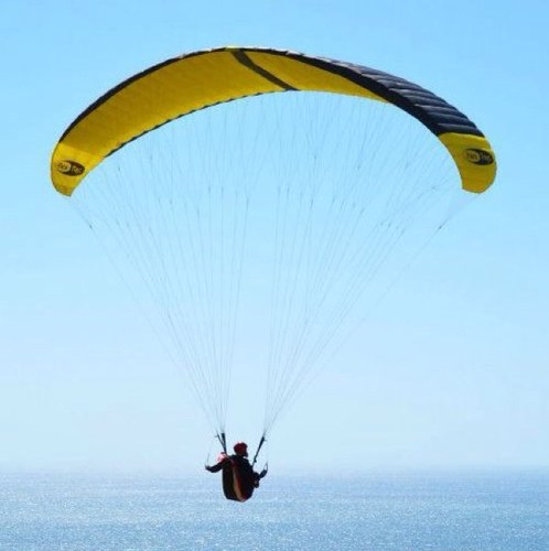 holymoses321's profile picture. 