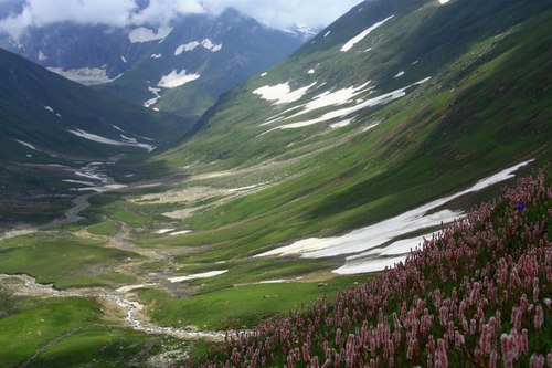 Hassanmustafa01's profile picture. well..