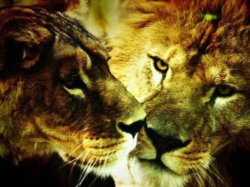 Scratch
here: ▒▒▒▒▒▒▒▒▒▒▒▒ with a
very sharp object to KNOW ME.