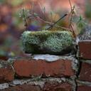 Karin Gaylor - @karingaylor - Twitter