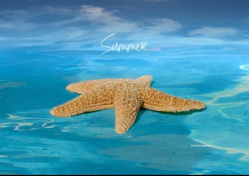 funnytweets_876's profile picture. follow me for the best darn tweets ever! + i follow back:)