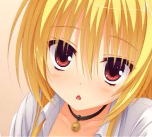 yuzuPIti's profile picture. 事故紹介でありんす^_^;
多趣味です。あれやこれやと広く浅く時々深くw
まぁ、ゆずソフト信じてるし、ボカロ厨だし、緋弾のアリア筆頭にラノベ読むし、漫画やらアニメやらと暇があったら何かと二次ってるし。
うんやっぱ二次元だよニコラだよ！！
パズドラやってます。（弱小だけど
＿φ(￣ー￣ )
ε=ε=ε=ε=ε=ε=┌(;