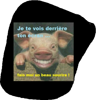 ANDRE56768995's profile picture. 