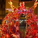 Lesley Stone - @holland1953 - Twitter