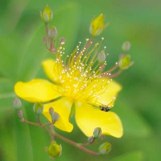 de__co's profile picture. おいしく食べて笑って暮らせたらいいのです。心穏やかに。思いたことをツイートしてます。返信やフォローバックは、ほとんどしないと思いますので、御免下さい。