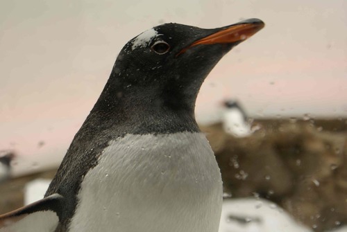 3rdWorld_Probs's profile picture. Things that we may take for granted are things that others have to live without day to day.