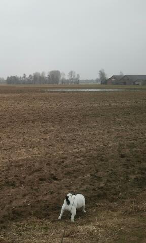 WTBer's profile picture. rugby (rfc Gouda) en opleiding werktuigbouwkunde