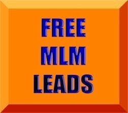 Leveraging the internet to increase your income, generate FREE MLM leads and live a better life.